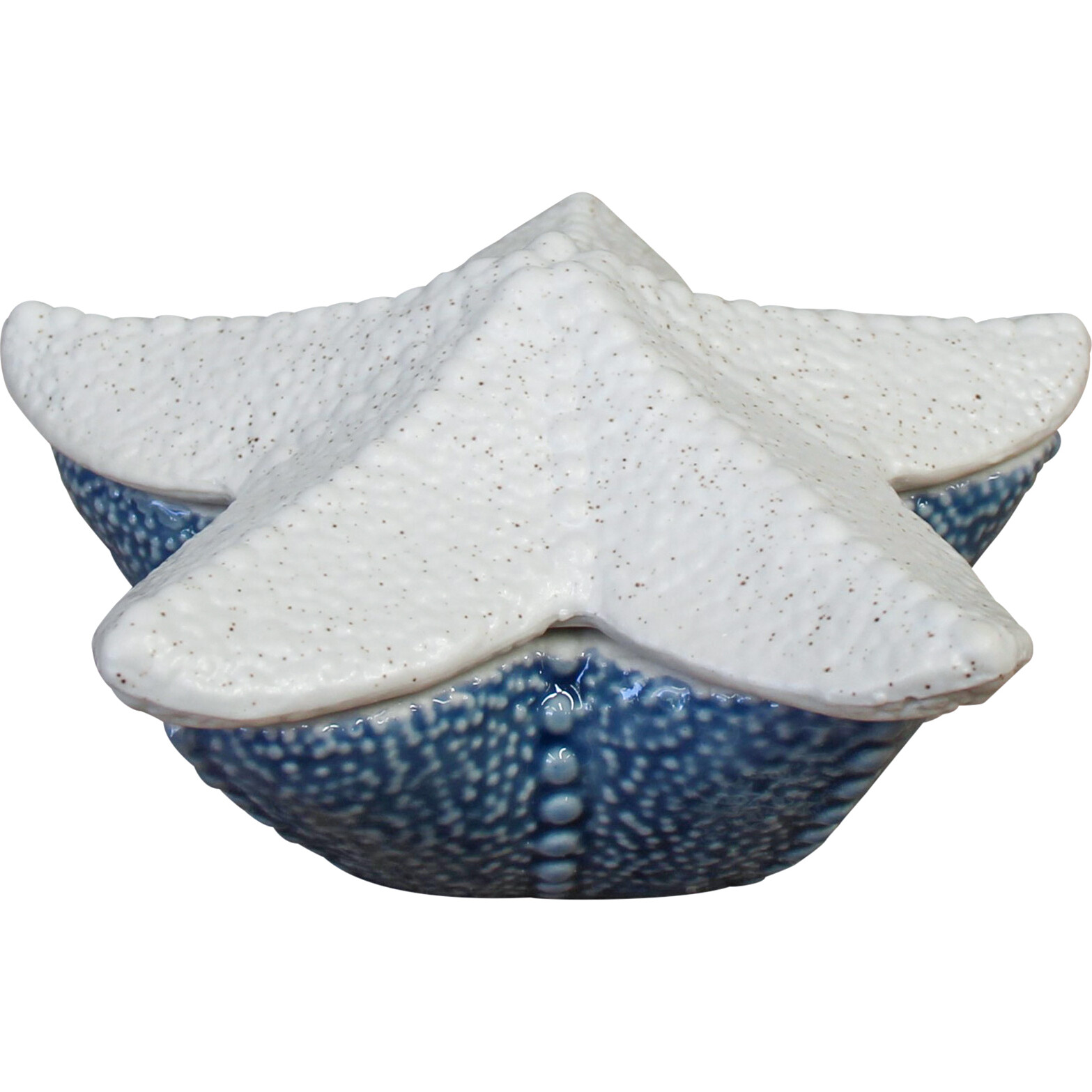 Trinket Box Starfish Blue/ White