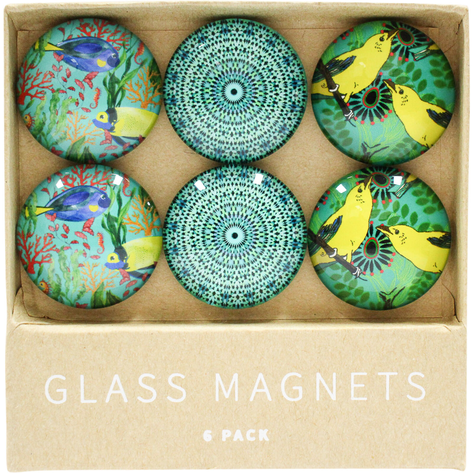 Glass Magnets Tropical Reef S/6