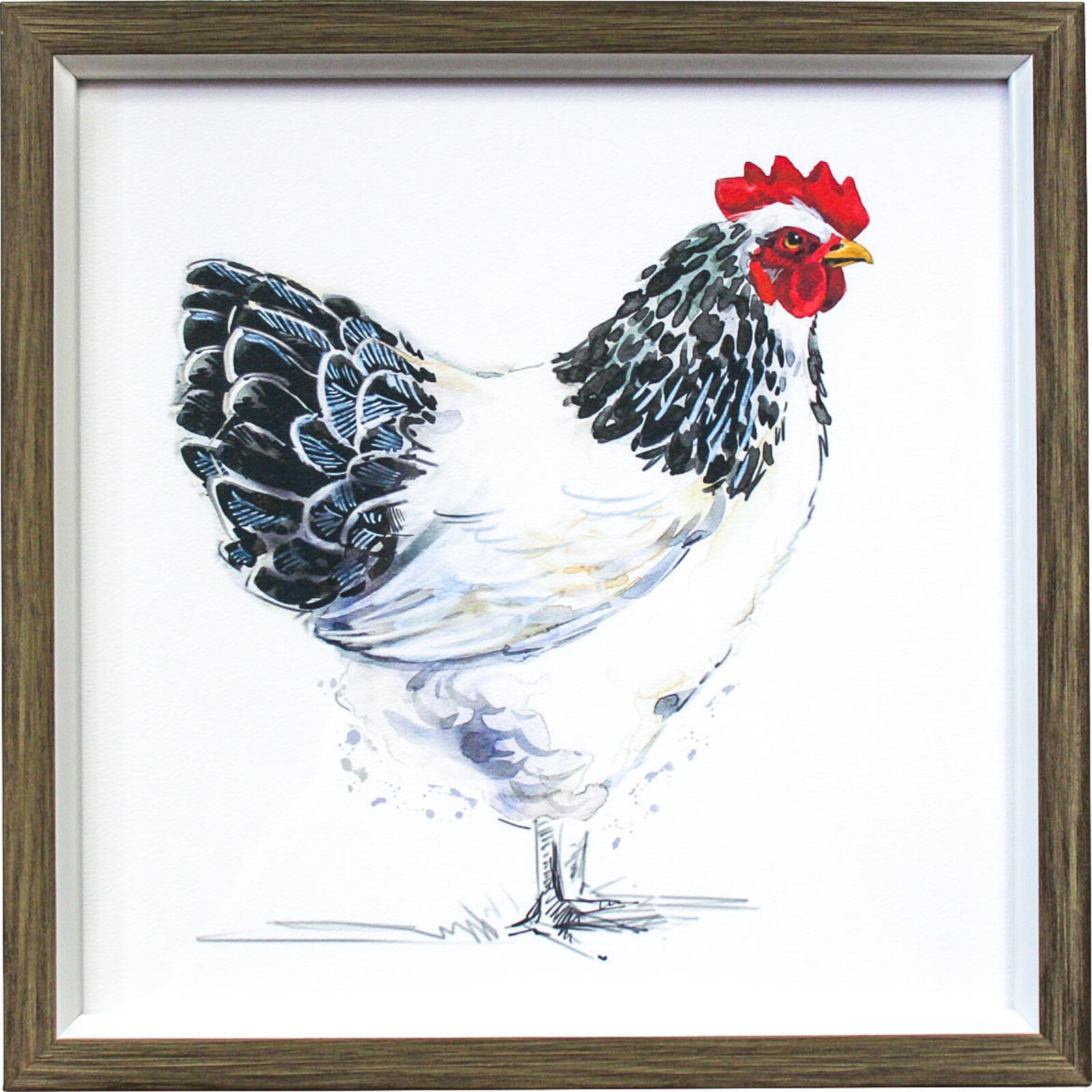 Framed Print Chicken Sussex