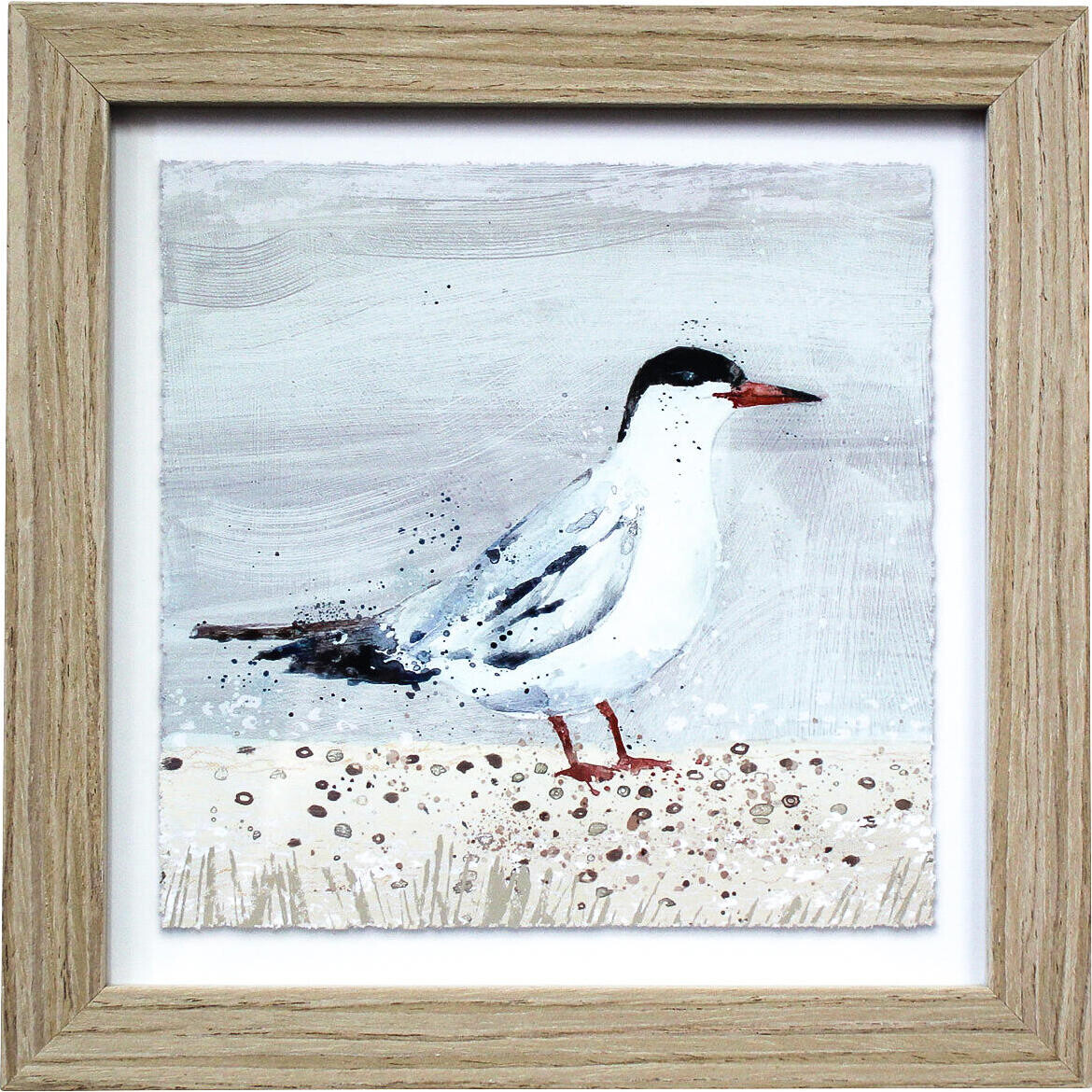 Framed Print Seabird 2